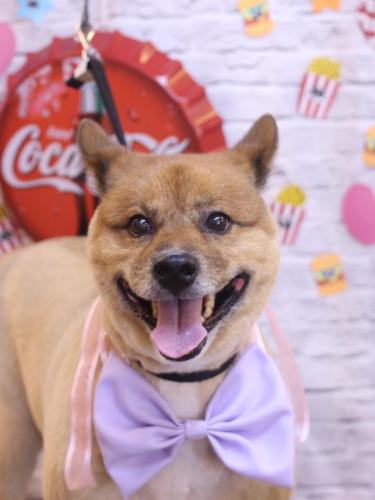 20230907やまとくん